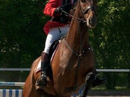 img-98861-582